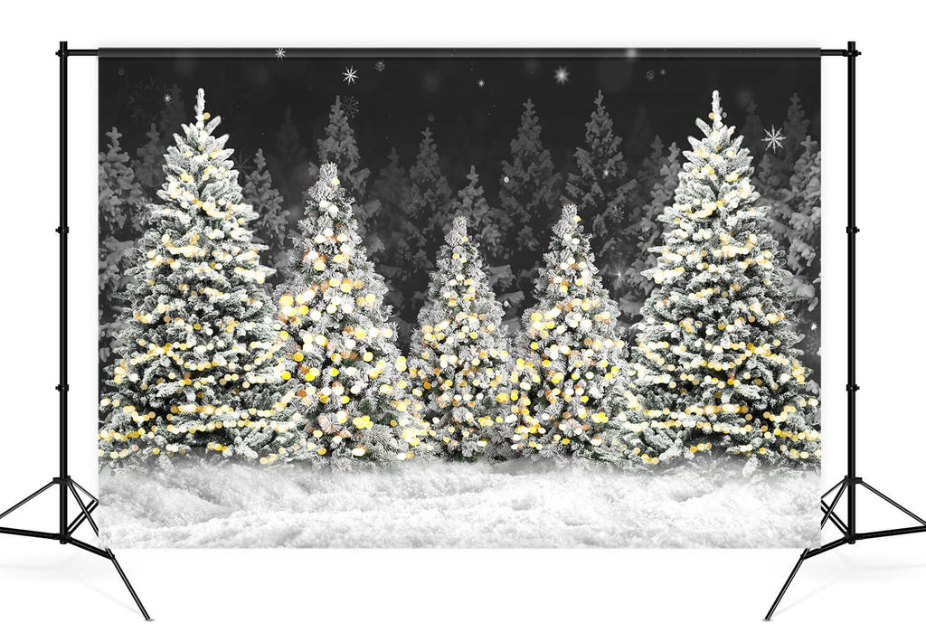 Noël nuit forêt neige photographie toile de fond D893