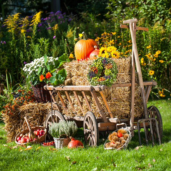 Toile de fond du festival Halloween Farm Background Harvest Season DBD-19066