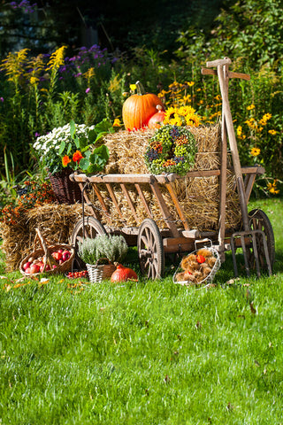 Toile de fond du festival Halloween Farm Background Harvest Season DBD-19066