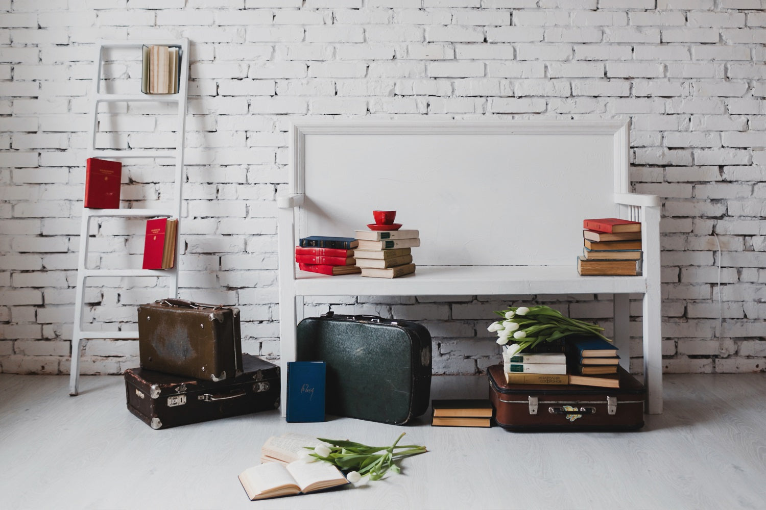 Toile de Fond de Vieilles Valises et Livres pour la Rentrée Scolaire DBD7-8