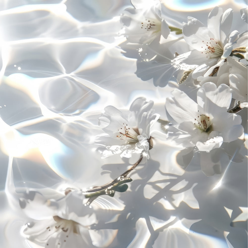 Toile de fond Fête des Mères Fleur Blanche Eau Étincelante GQ2-197