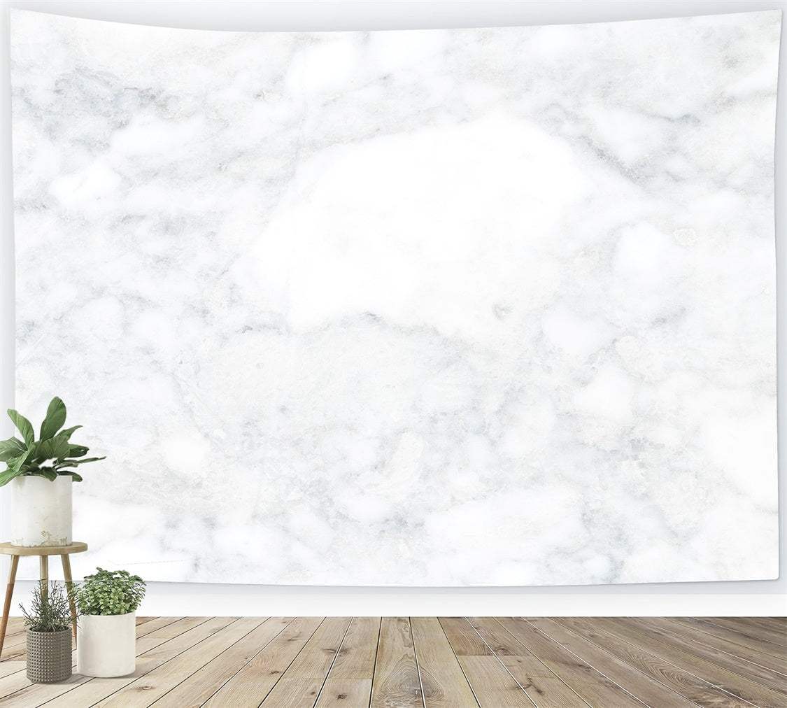 Toile de fond Marbre Blanc Ton Froid Délicat Studio GQ4-144