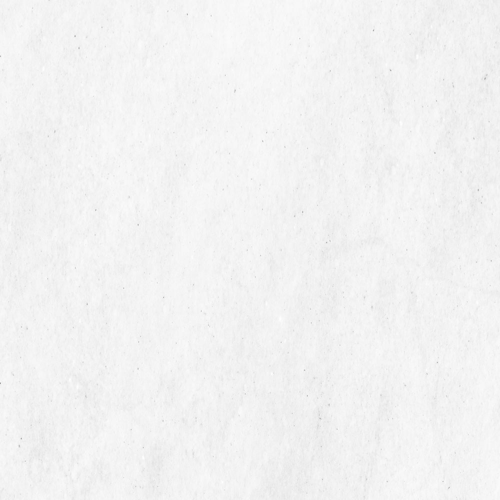 Toile de Fond Photographie Blanche Moderne Lait Mat GQ4-167