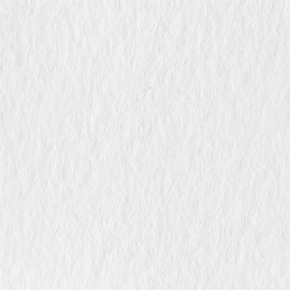 Toile de Fond Photographie Blanche Blanche Texturée Mat GQ4-174