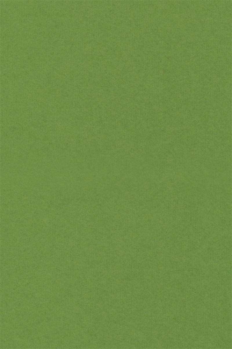 Toile de Fond Portrait de Graduation Vert Pur Lisse GQ4-178