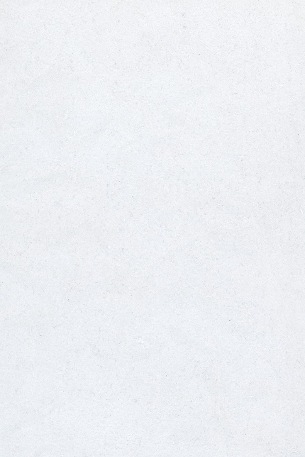 Toile de Fond Blanche Pour Photos Ton Blanc Brumeux Doux GQ4-193