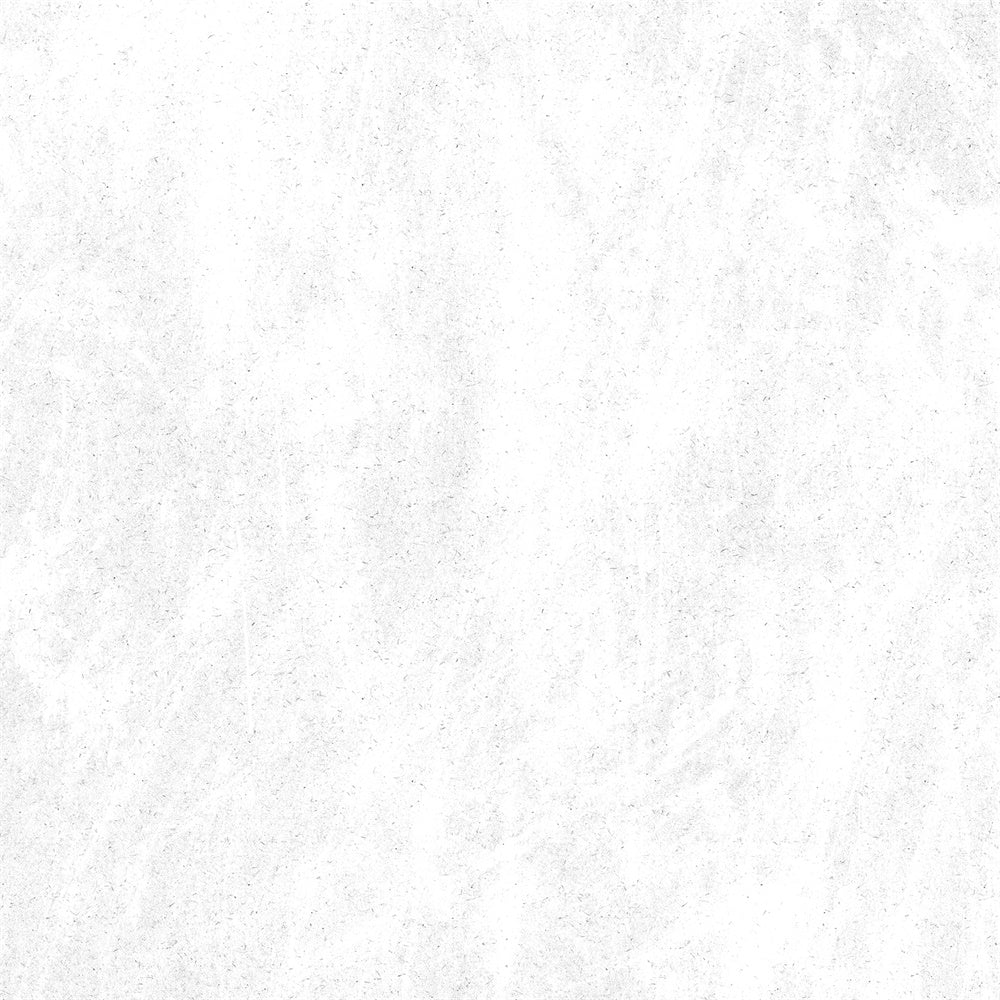 Toile de Fond Photo Blanche Texture Blanche Vieillie GQ4-195