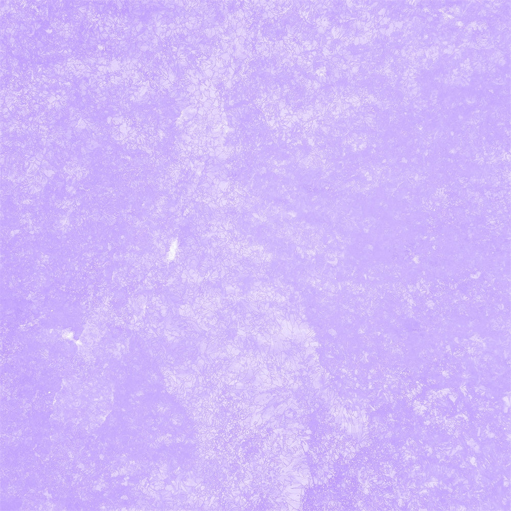 Toile de Fond Photo de Tête Professionnelle Texture Violette Mate GQ4-212