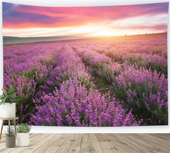 Toile de fond Violette Photographie Coucher Soleil Rangées Lavande GQ4-22
