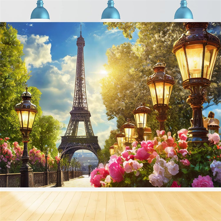Toile de fond Photo Paris Chemin de Jardin Lanterne Vintage GQ4-51