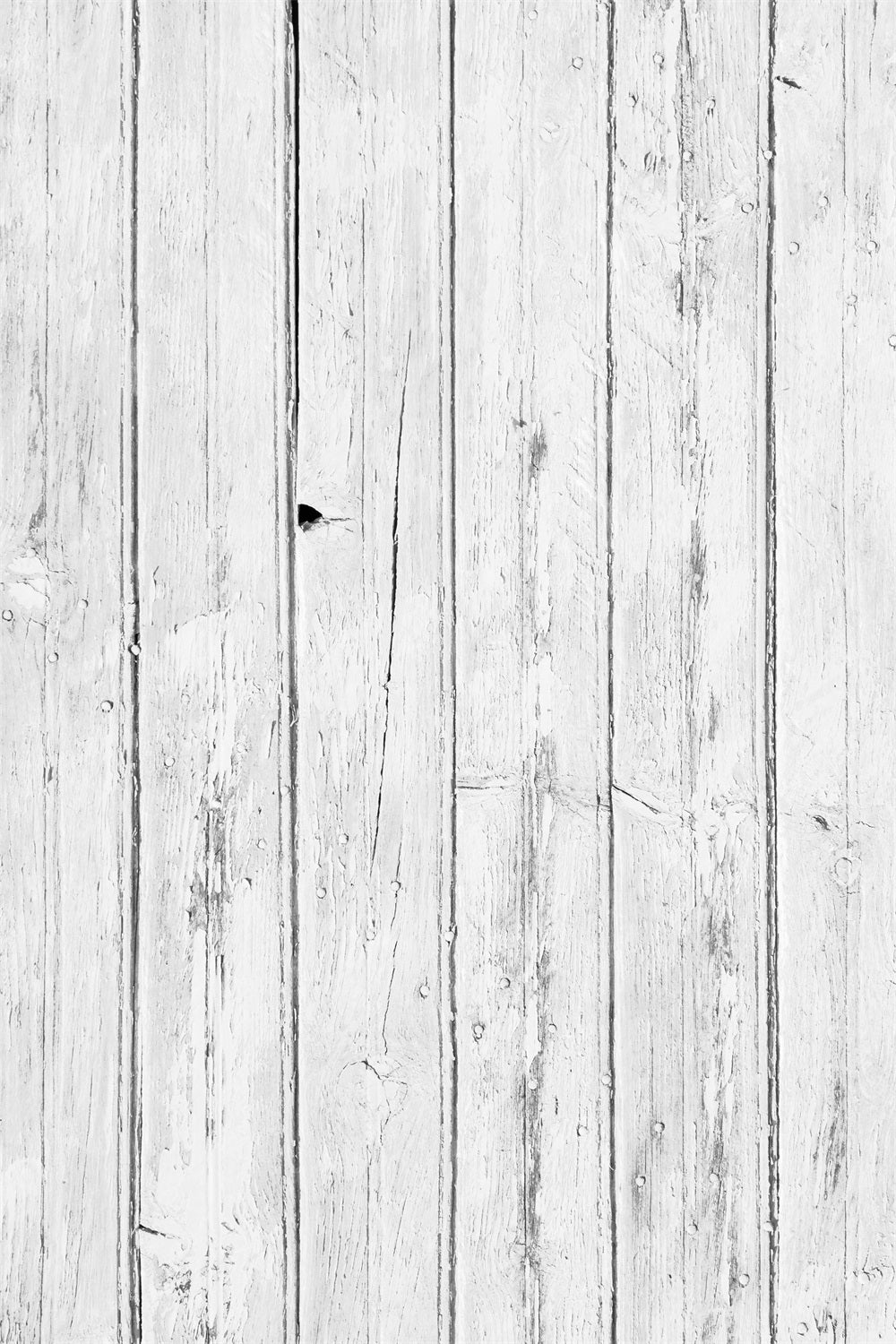Toile de fond Bois Blanc Panneaux Studio GQ4-98