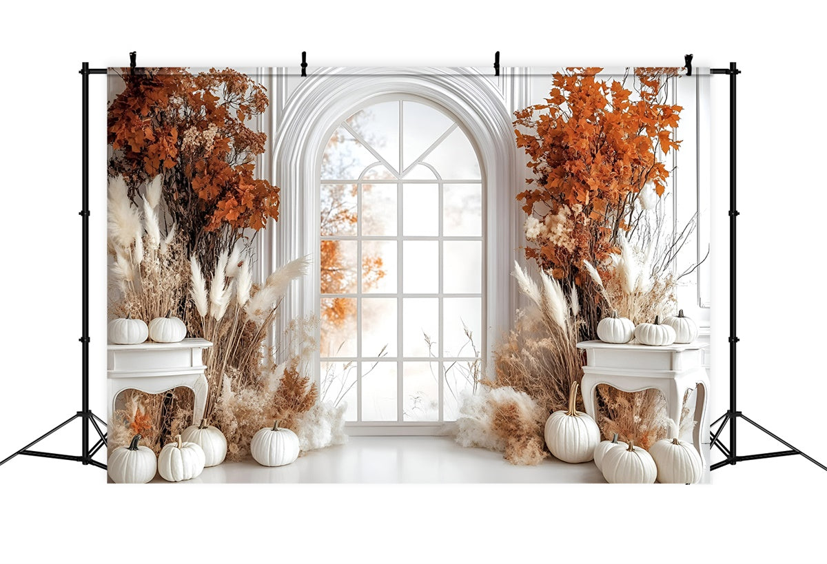 Toile de fond Automne Élégante Citrouille Blanche Fenêtre GQ5-85