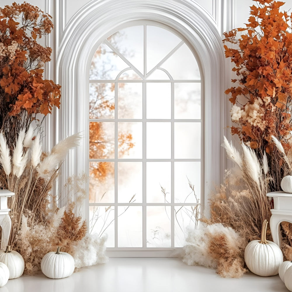 Toile de fond Automne Élégante Citrouille Blanche Fenêtre GQ5-85