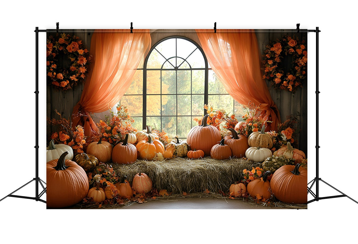 Toile de fond Photo Automne Fenêtre Récolte Citrouille GQ57-110