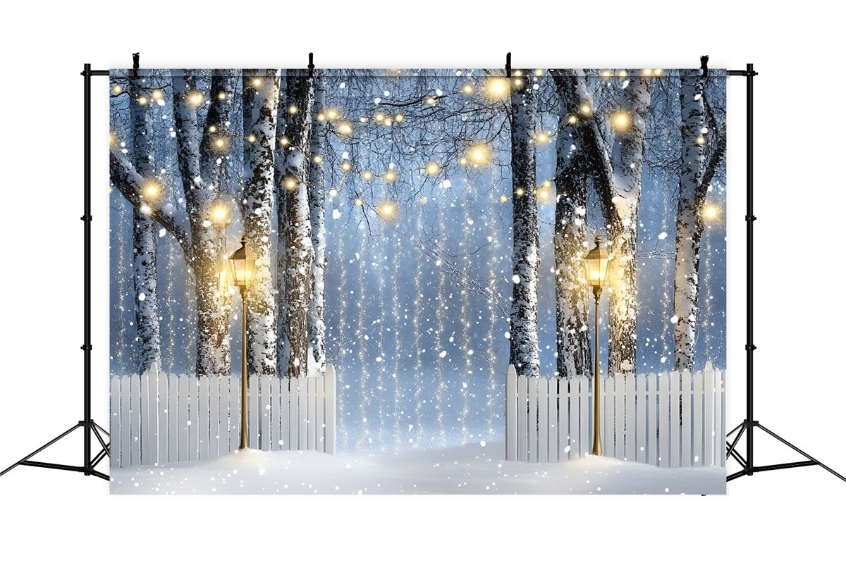 Toile de fond Hiver Sentier Bouleau Lanterne GQ57-150