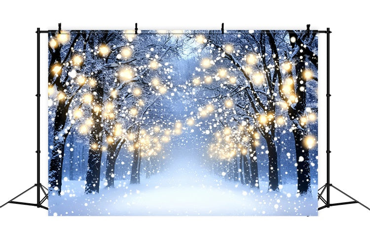 Toile de fond Hiver Balade Forêt Lumineuse GQ57-151