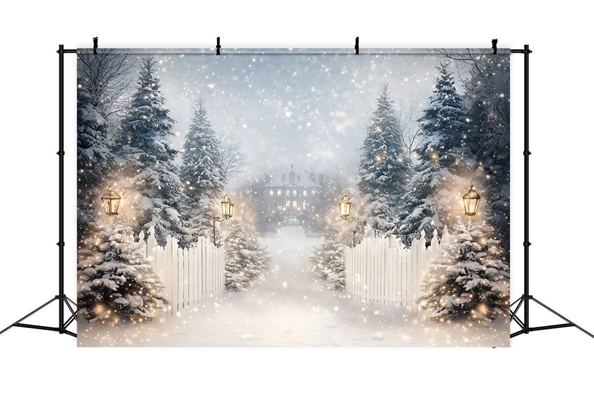 Toile de fond Hiver Sentier de Neige Lanterne GQ57-152