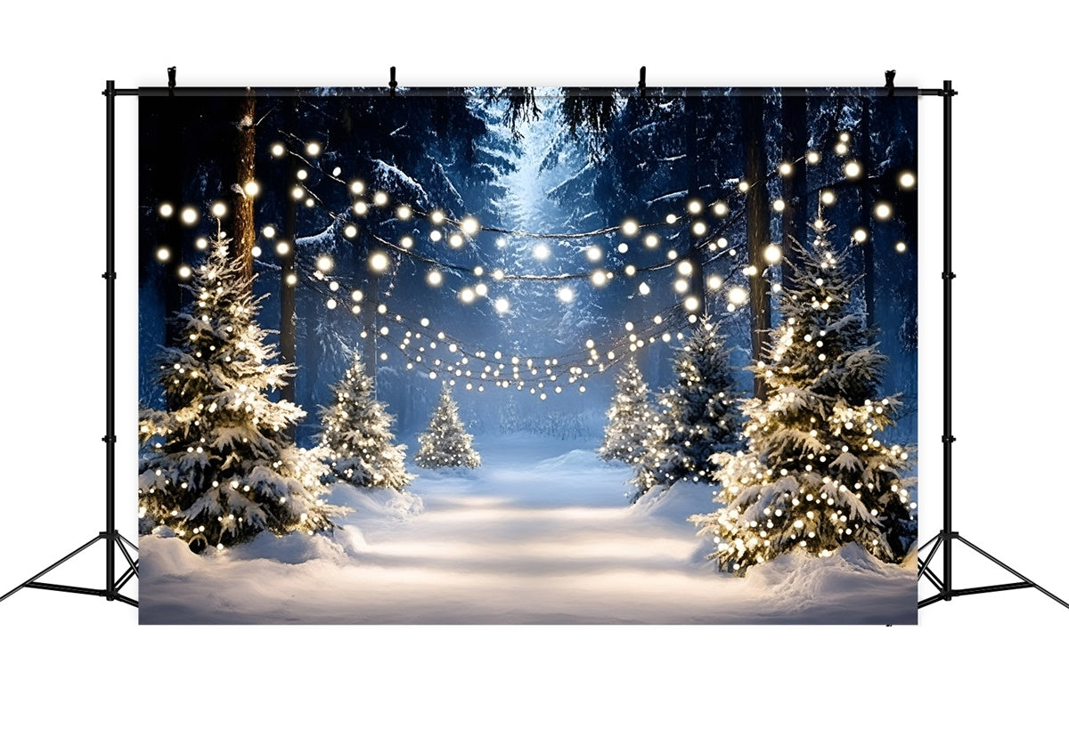 Toile de fond Hiver Sentier Arbre Lumineux GQ57-159