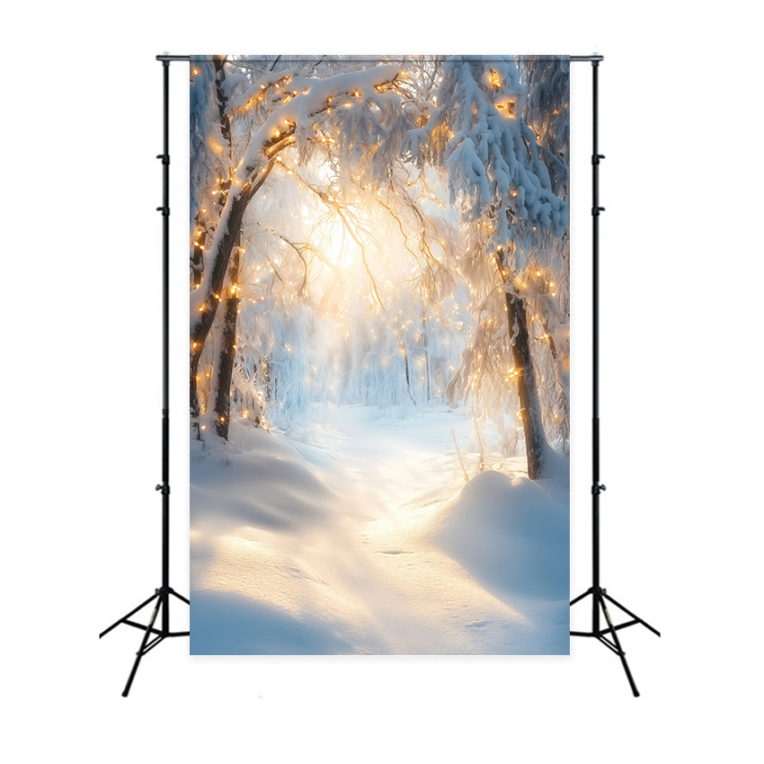 Toile de fond Hiver Arche Givrée Dorée GQ57-161