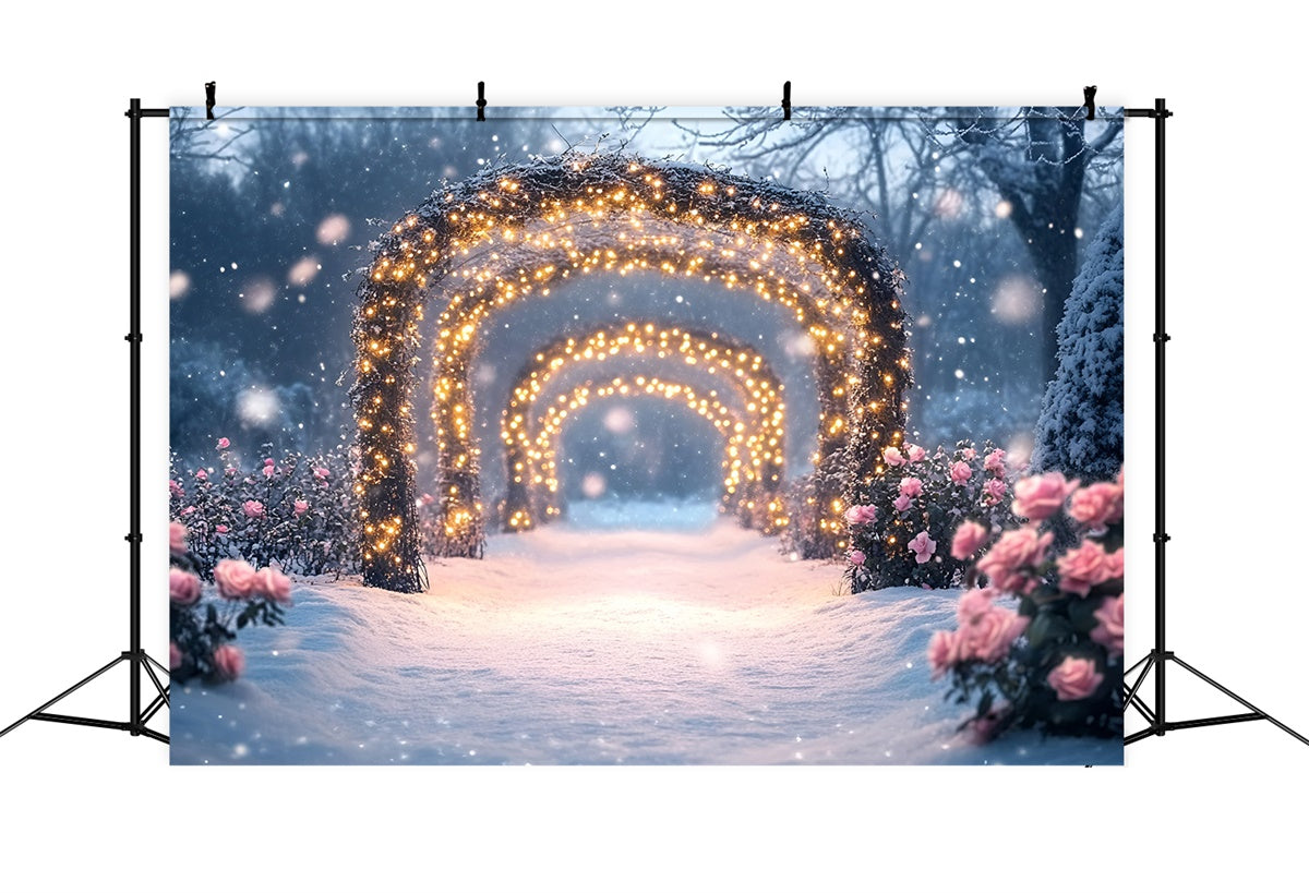 Toile de fond Hiver Sentier Rose Étincelant GQ57-171
