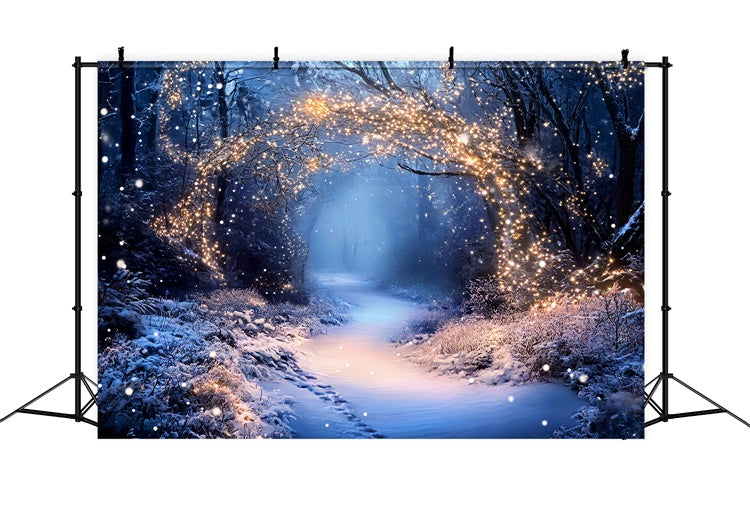 Toile de fond Hiver Sentier Guirlandes Féerique GQ57-174