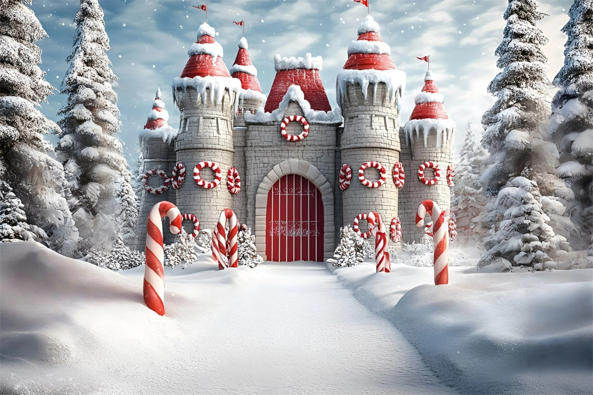 Toile de fond photo Noël Forteresse Douce d’Hiver GQ57-21