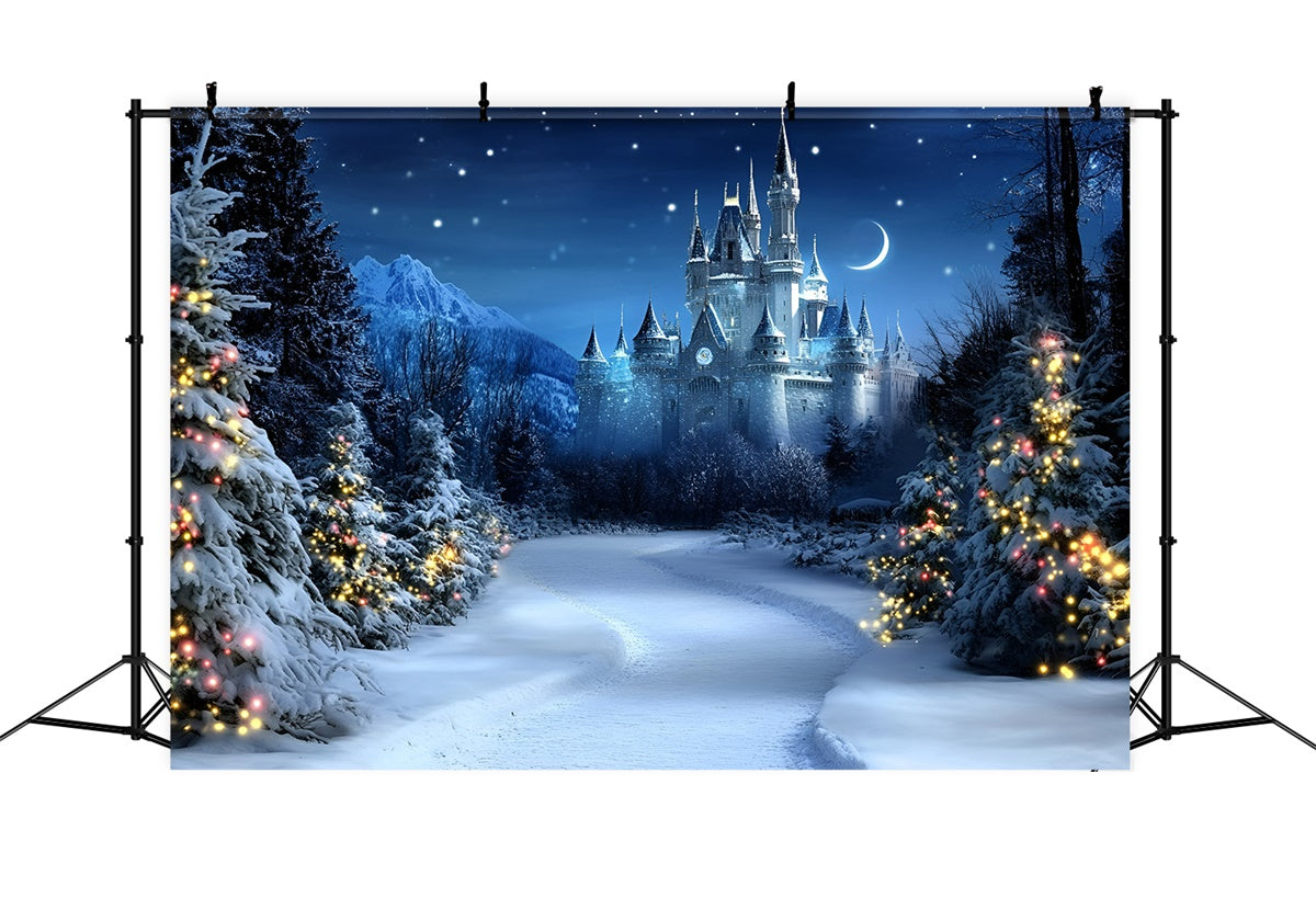 Toile de fond Noël Palais de Noël Étoilé GQ57-24