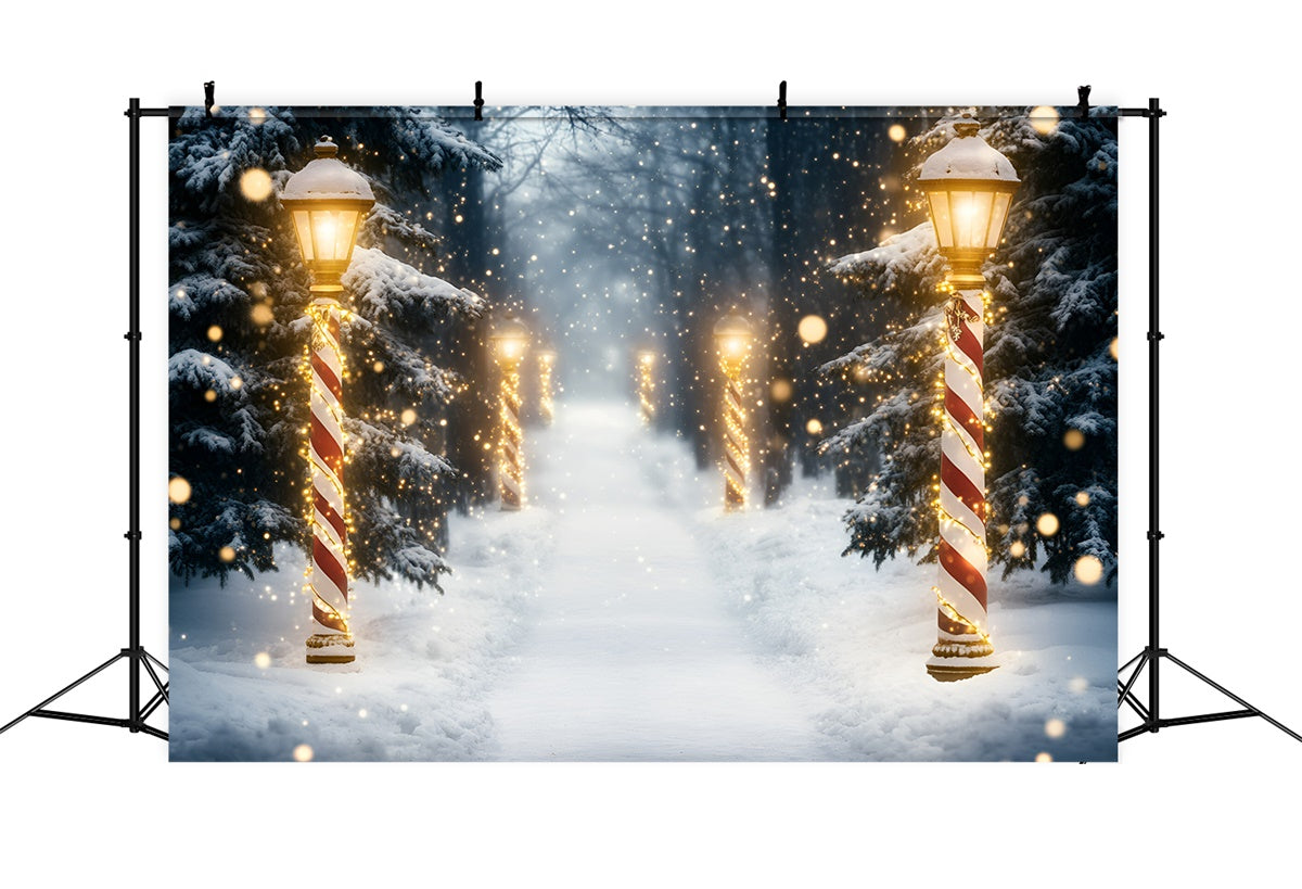 Toile de fond Photo Forêt Neige Magie Fête GQ57-73