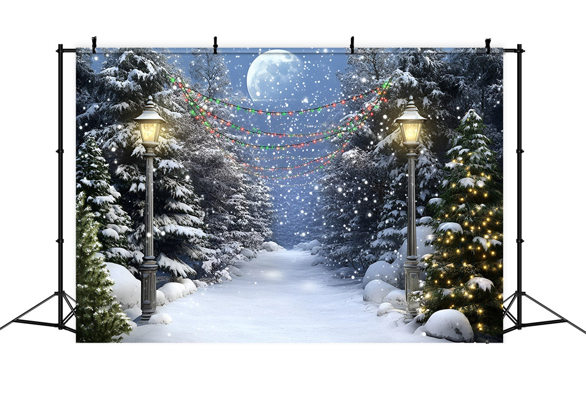 Toile de fond Forêt Nuit Pleine Lune Sentier Hiver GQ57-74