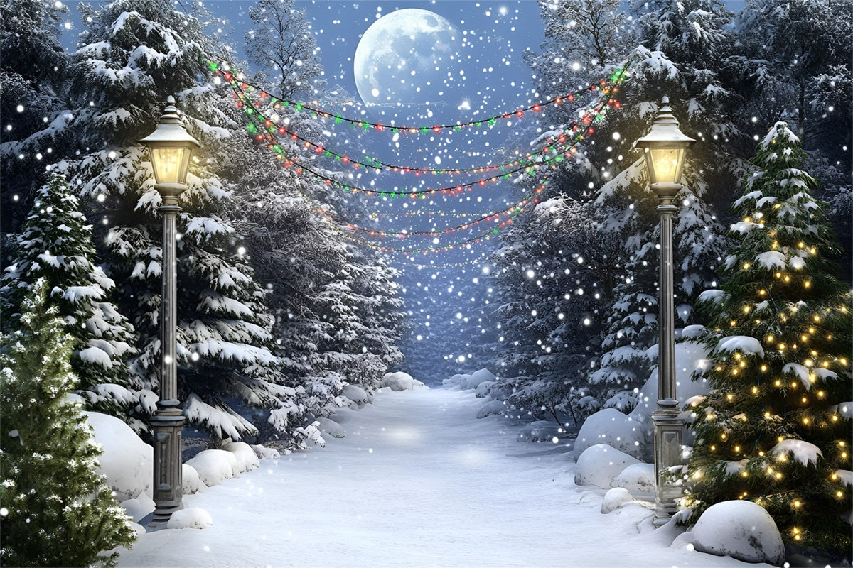 Toile de fond Forêt Nuit Pleine Lune Sentier Hiver GQ57-74