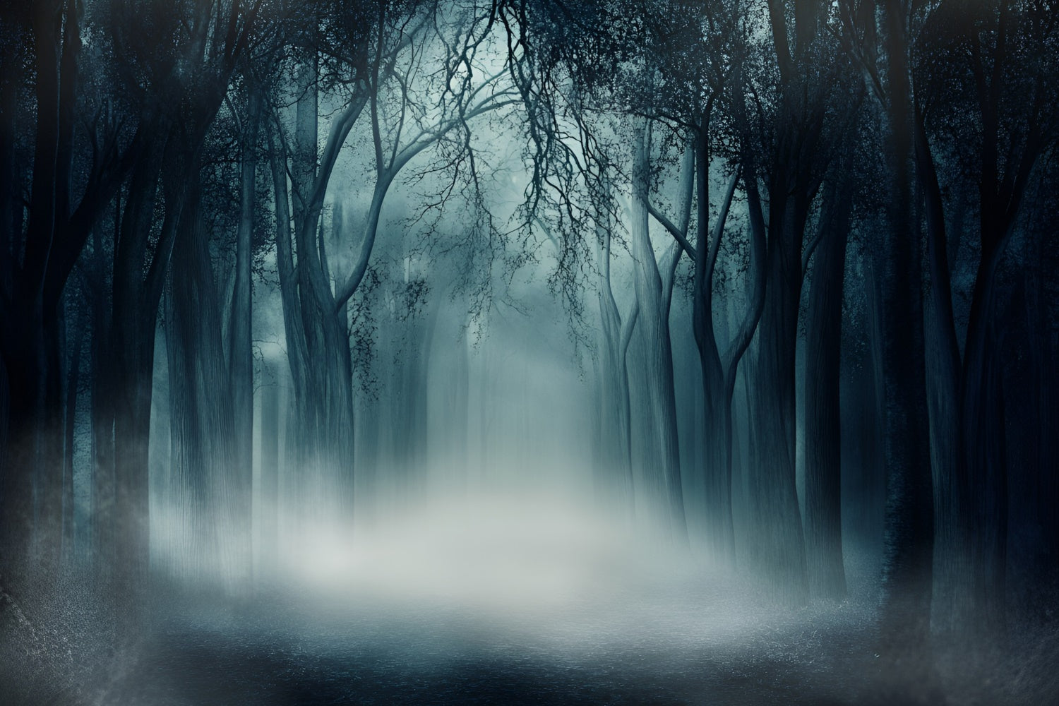 Toile de fond Forêt Sombre Bois Silence Étrange GQ57-84