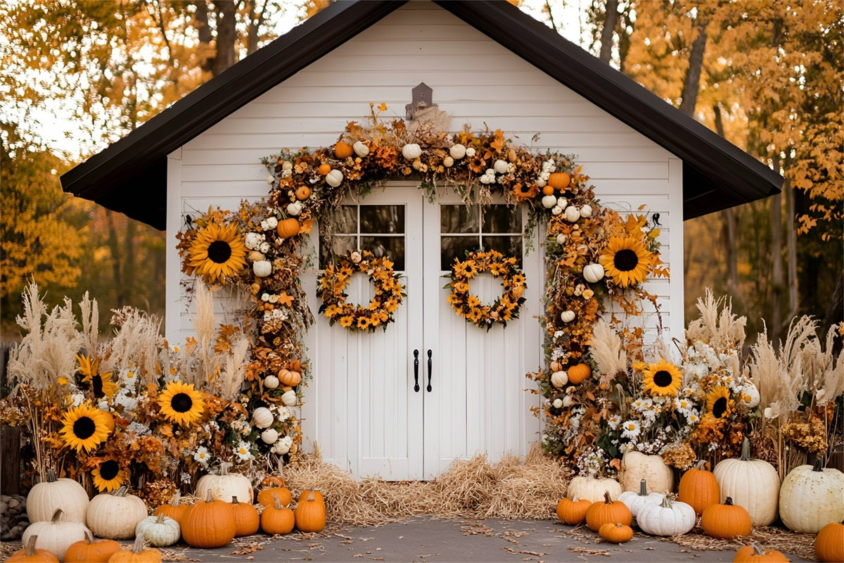 Toile de fond Automne Cottage Récolte Tournesols GQ57-96