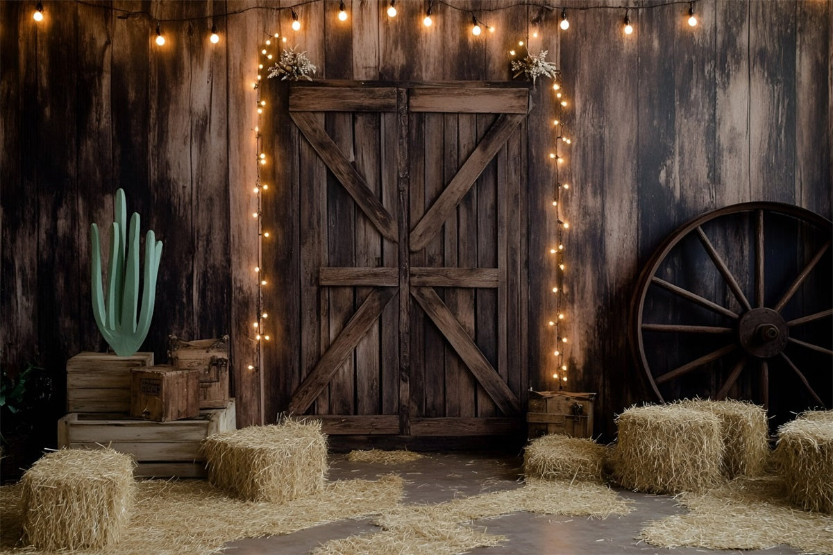 Fond Photo Vintage Porte De Grange En Bois Lumières Paille GQ58-117