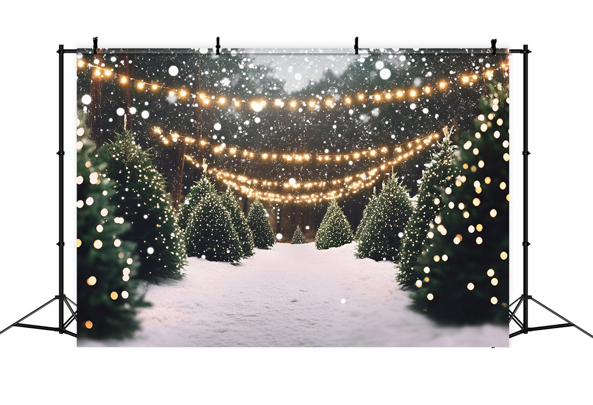 Toile de fond Noël Allée de Pins Enneigée et Lumières GQ58-48