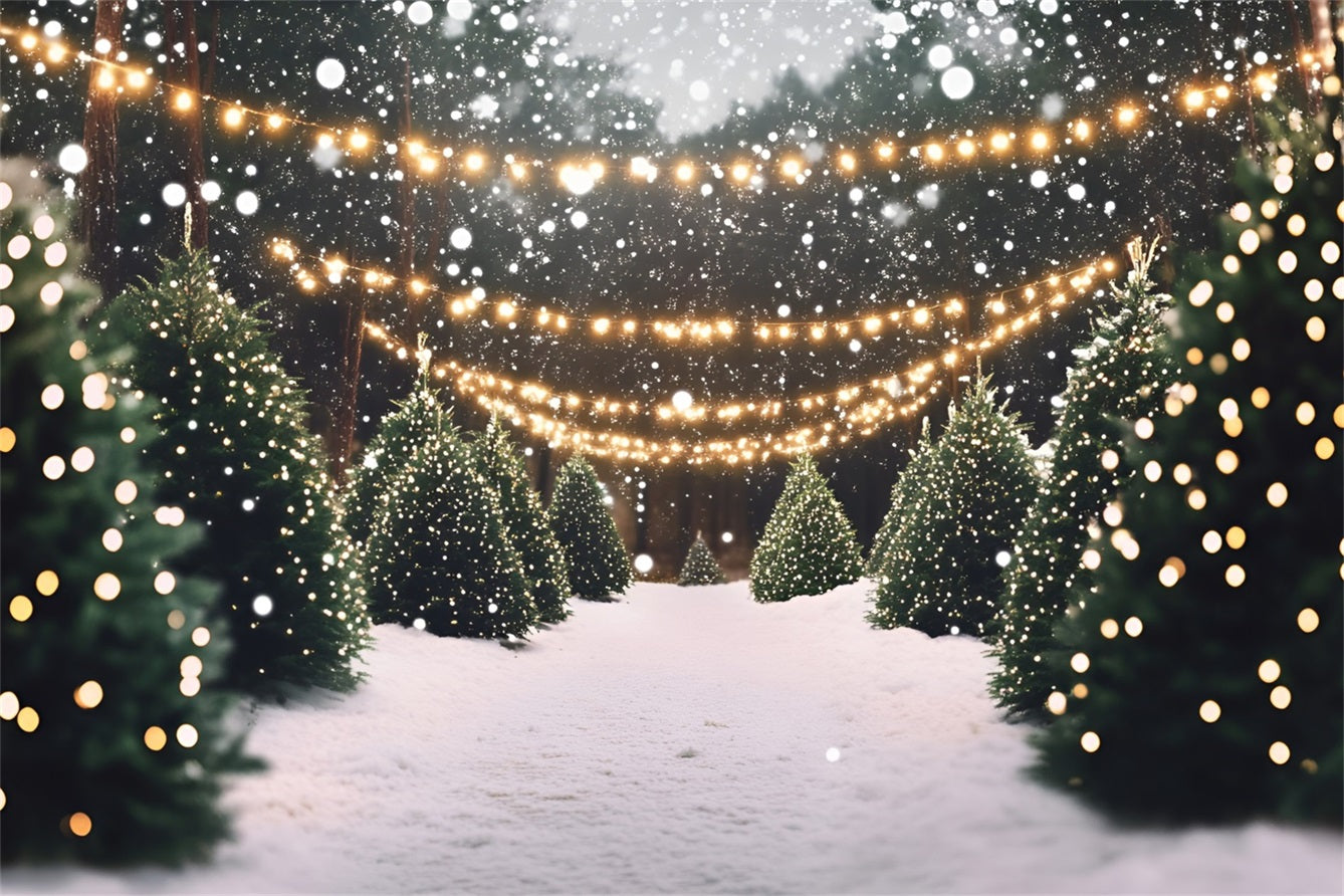 Toile de fond Noël Allée de Pins Enneigée et Lumières GQ58-48