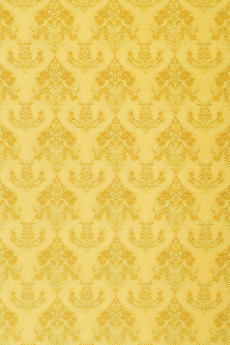 Fond Portrait Photo Motif Damassé Floral Baroque Élégant GQ58-74