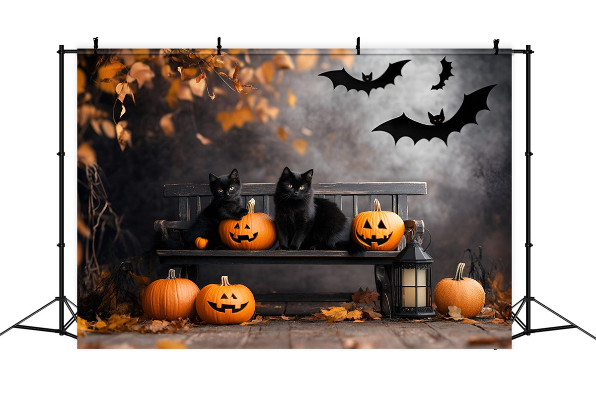 Toile de fond Halloween Citrouille Chat Noir Banc Effrayant GQ6-234