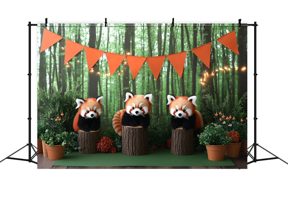 Toile de fond Photo Gâteau Smash Aventure Petits Ours des Bois GQ6-294