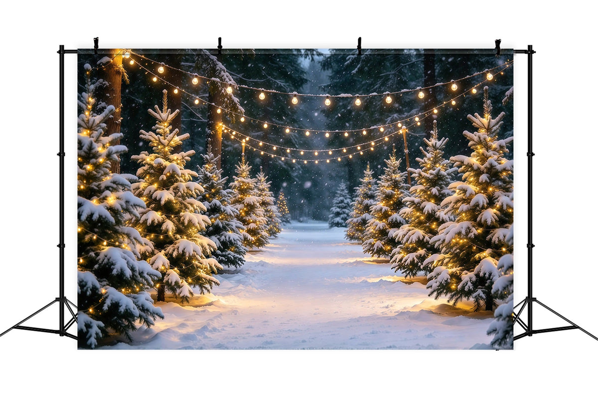 Fond Photo Ferme De Sapins Sentier Pins Enneigés Guirlandes Lumineuses GQ610-16