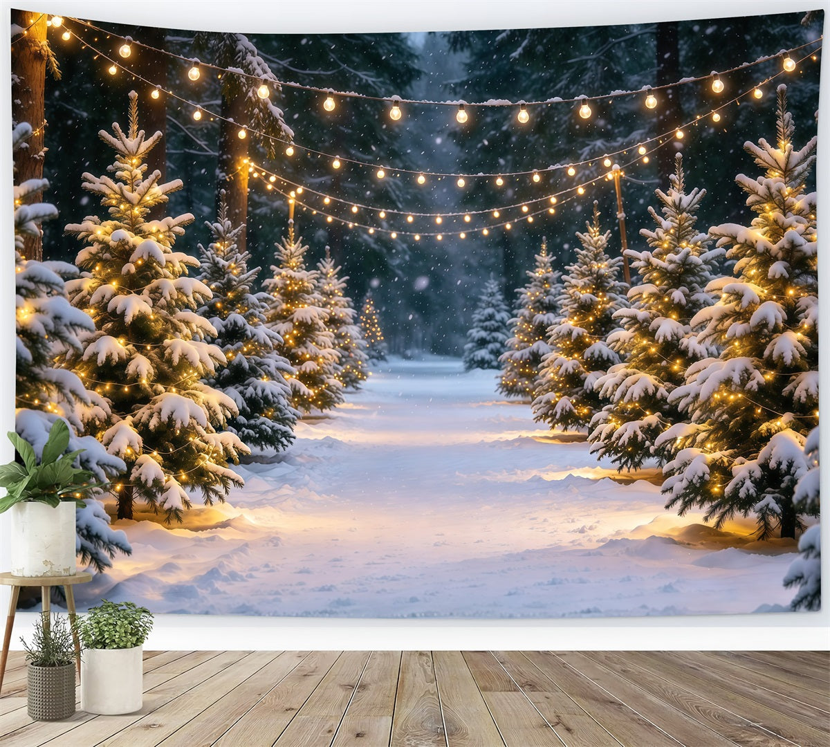 Fond Photo Ferme De Sapins Sentier Pins Enneigés Guirlandes Lumineuses GQ610-16