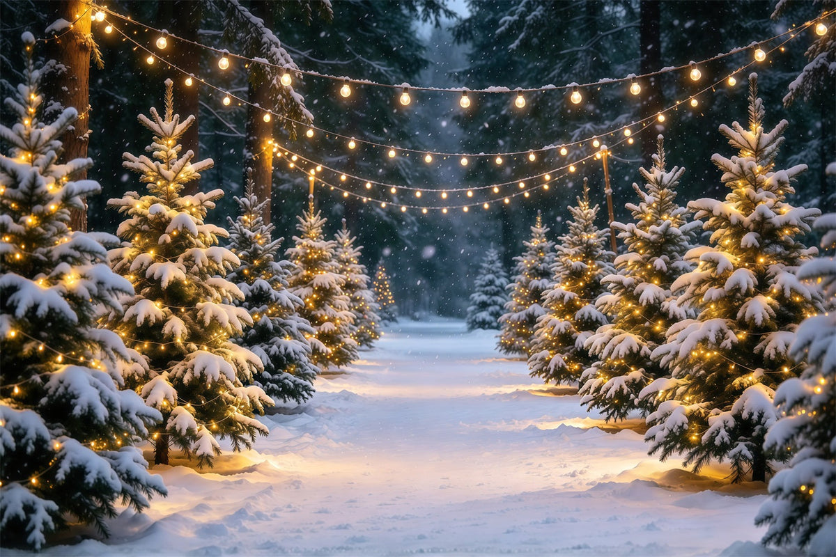 Fond Photo Ferme De Sapins Sentier Pins Enneigés Guirlandes Lumineuses GQ610-16