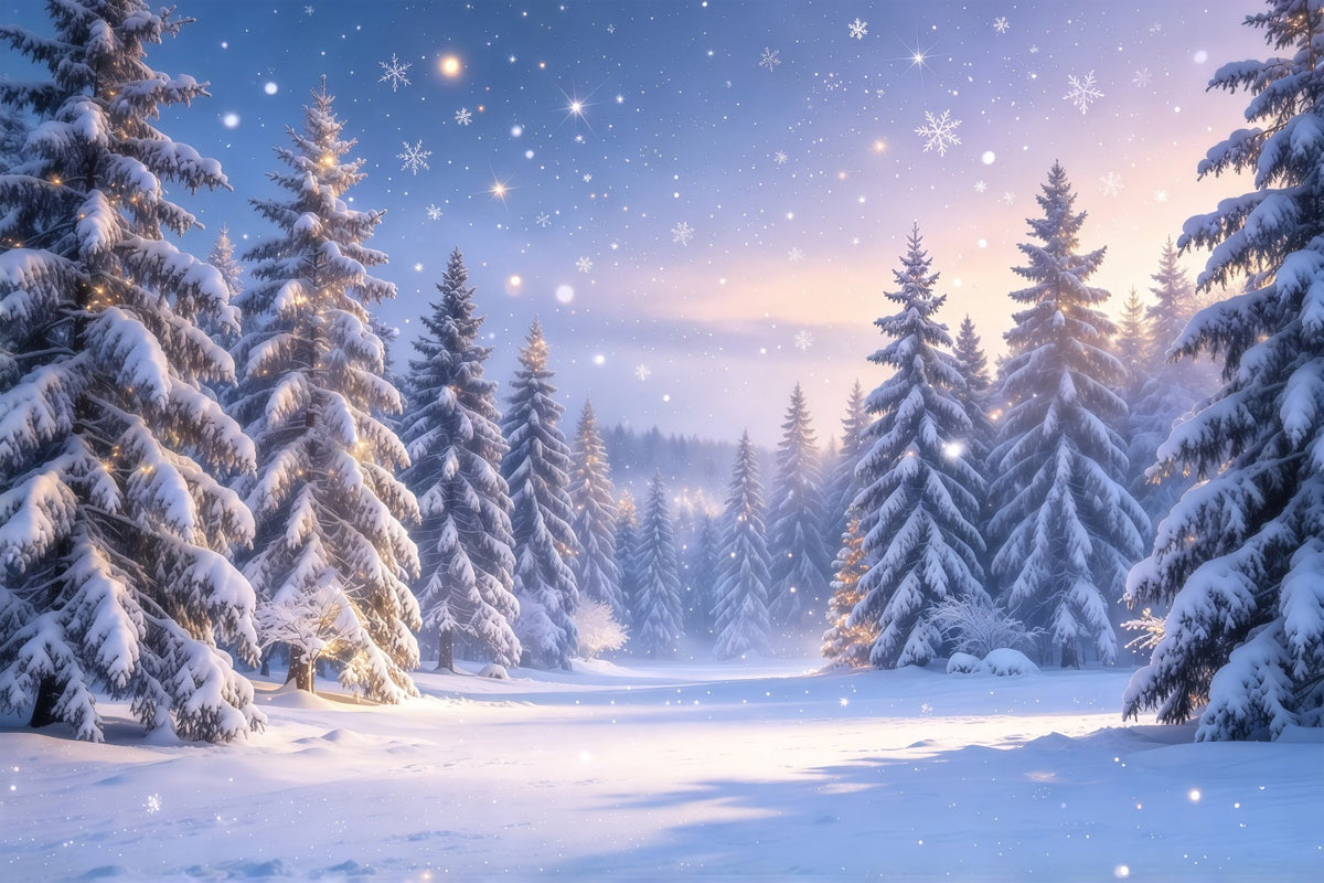 Fond De Sapins De Noël Forêt Enneigée Crépuscule GQ610-42
