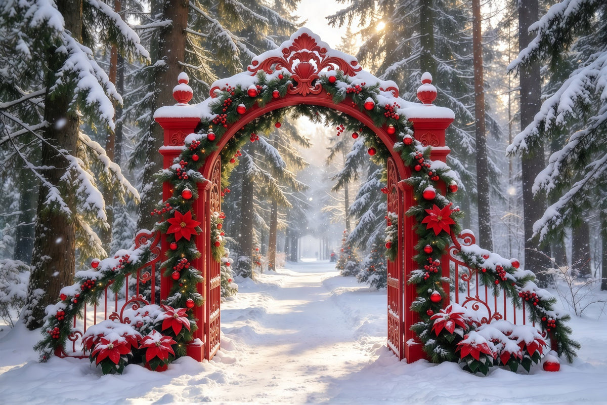 Fond De Noël Entrée Ornée Guirlande Rouge Enneigée GQ610-87