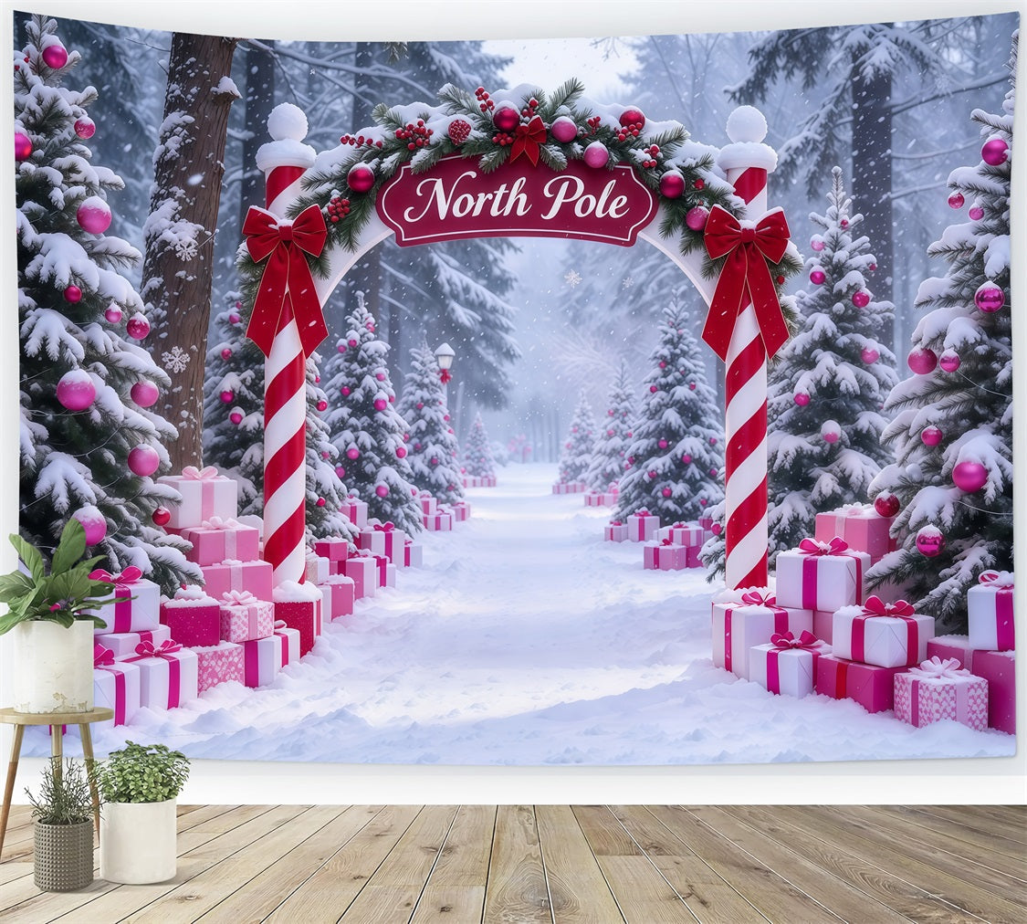 Fond Photo Pôle Nord Entrée Cadeaux Roses Bonbons Sucre GQ610-90