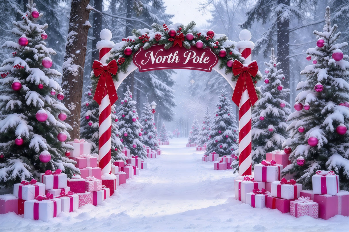 Fond Photo Pôle Nord Entrée Cadeaux Roses Bonbons Sucre GQ610-90