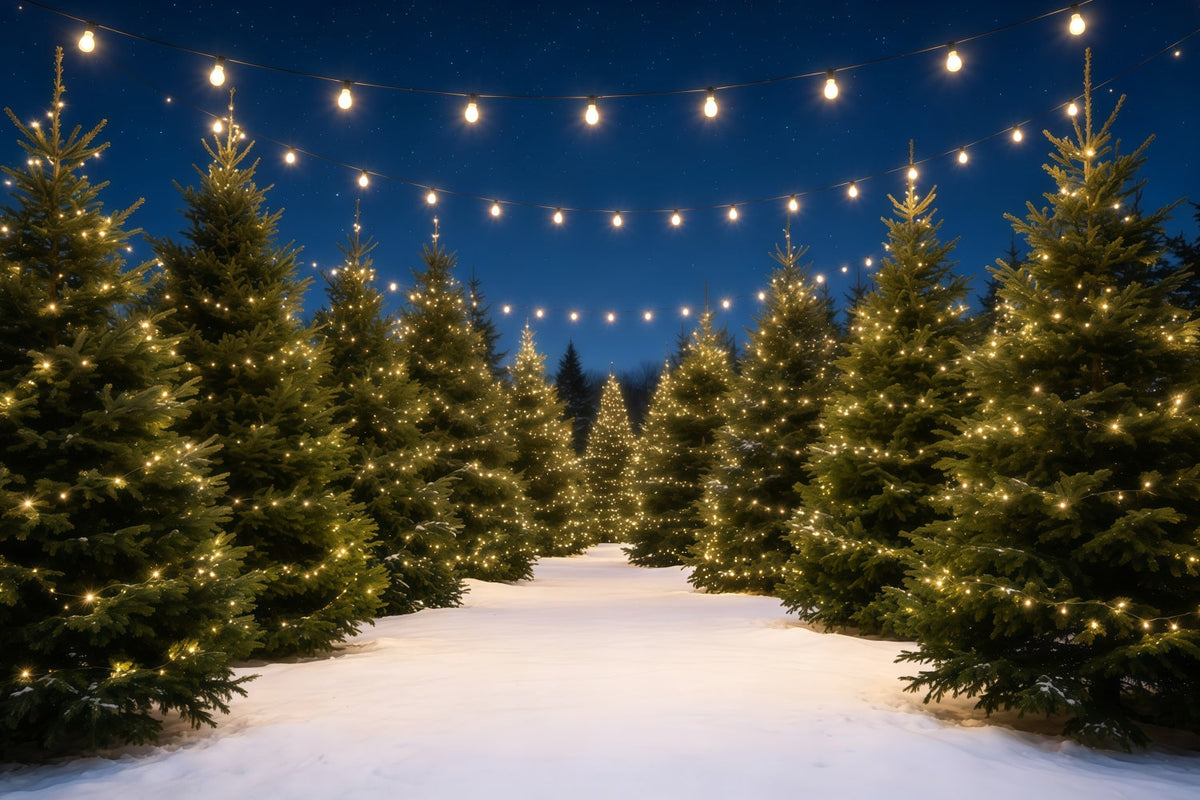 Décor De Ferme De Sapins De Noël Chemin Lumineux Du Pin Enneigé Décors De Noël GQ68-132
