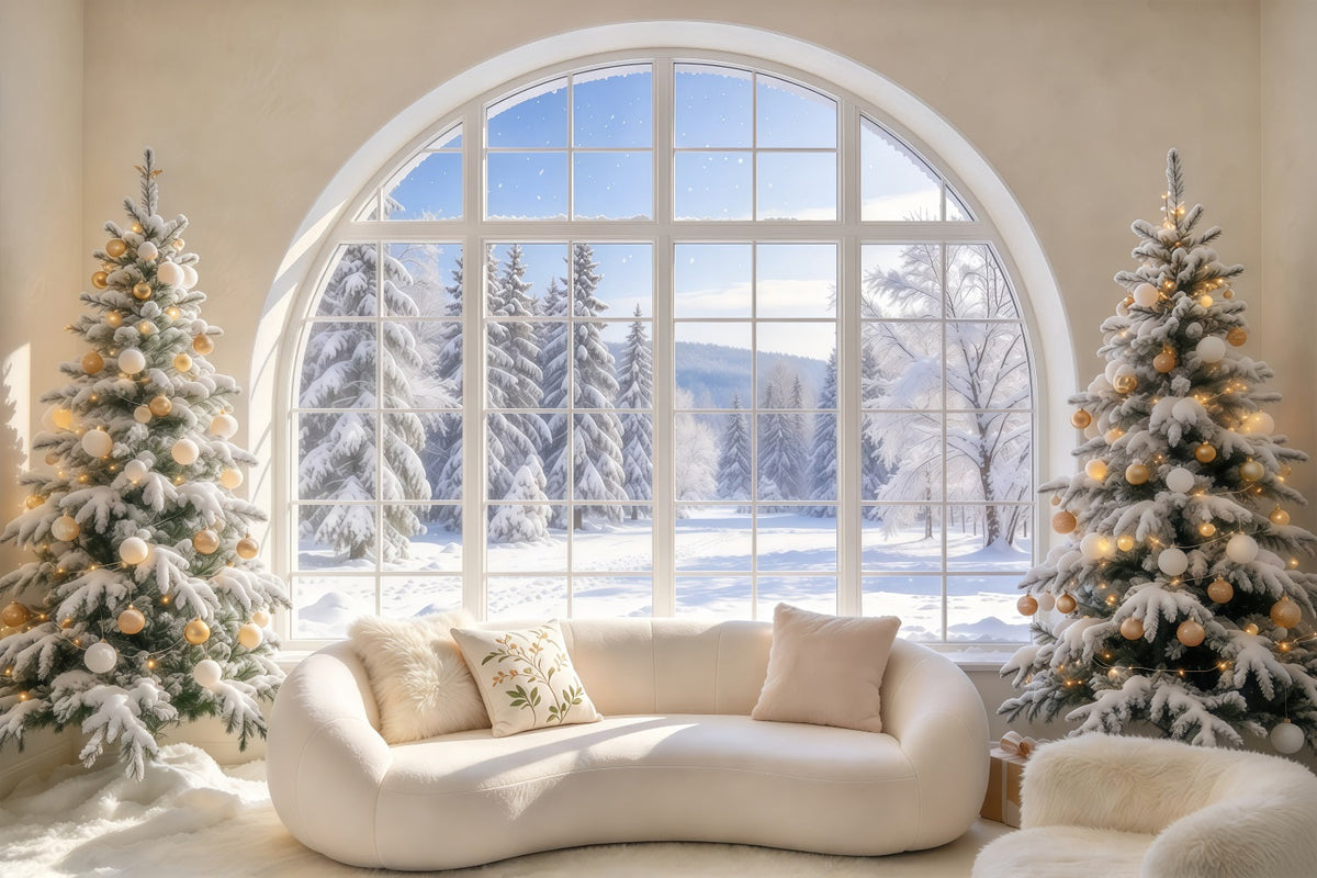 Fond De Noël Salon Fenêtre Arquée Enneigée Cadeaux GQ69-120