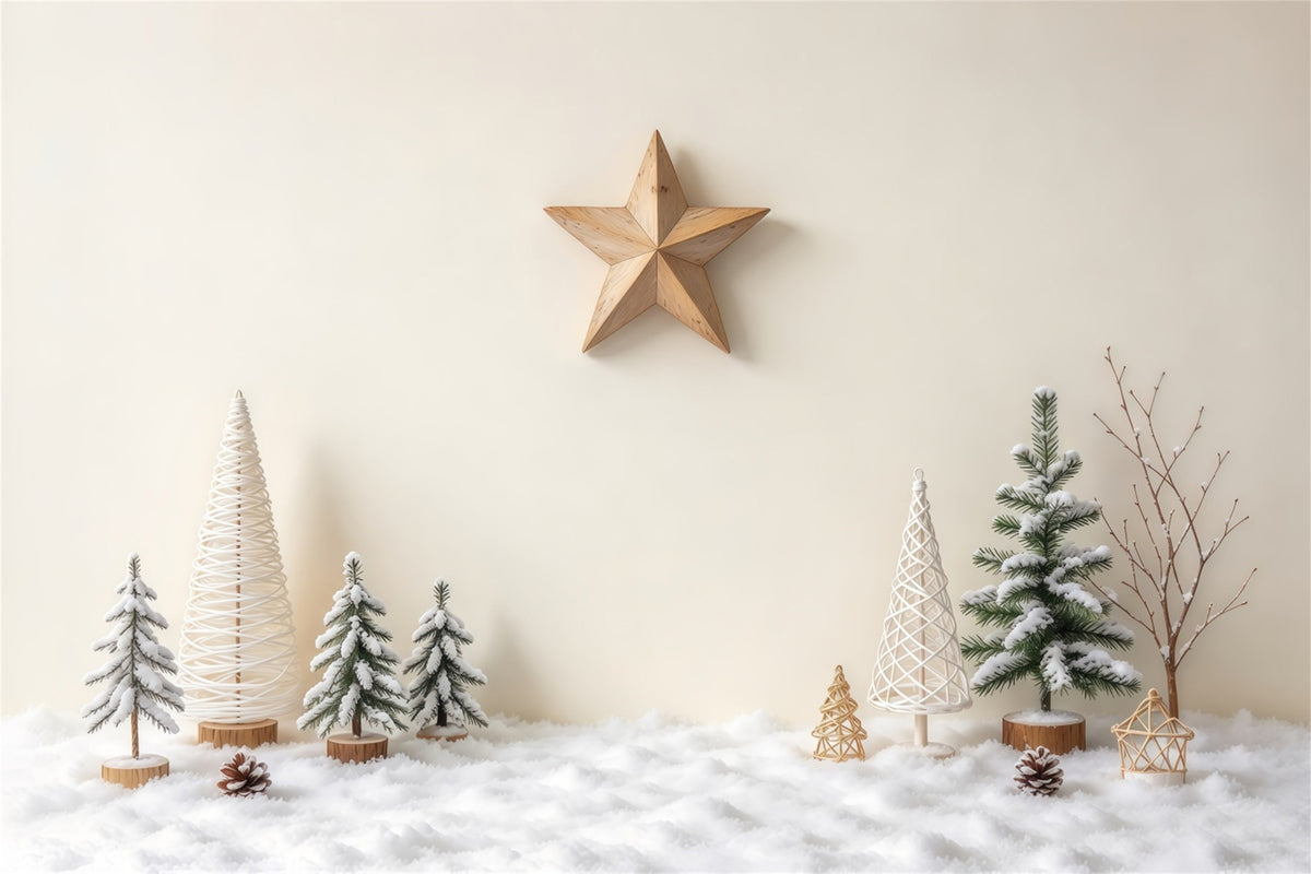 Fond Photo De Noël Minimaliste Étoile Hivernale GQ69-86