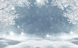 Hiver blanc neige flocon de neige Bokeh Photo Booth toile de fond LV-1023