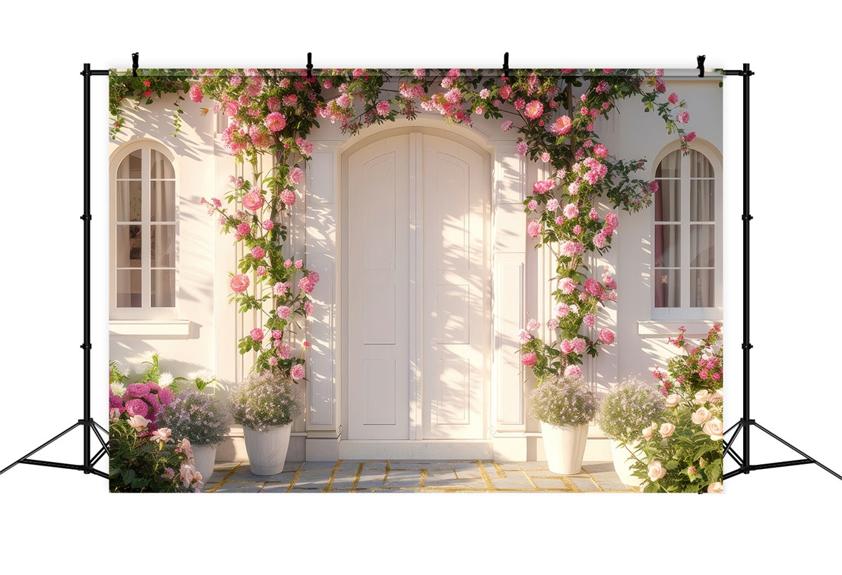 Fond Photo Printemps Porte Blanche Rose Épanouie LXX2-39